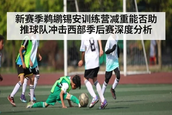 新赛季鹈鹕锡安训练营减重能否助推球队冲击西部季后赛深度分析
