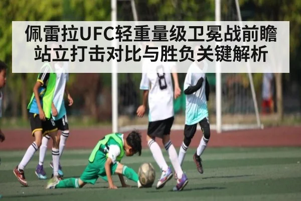 佩雷拉UFC轻重量级卫冕战前瞻 站立打击对比与胜负关键解析